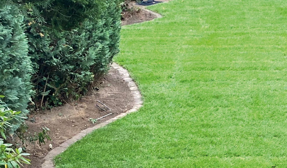 Bildbeispiel_Garten_01